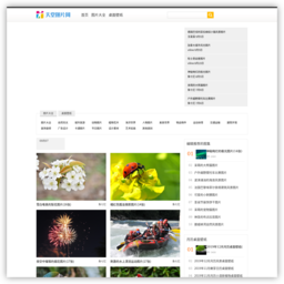 天堂图库